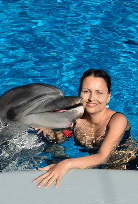 Topp 5 gratis dating nettsteder i USA