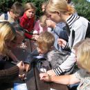 (Halb-)Edelsteine sortieren!