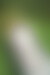 zur Registrierung