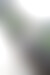 zur Registrierung