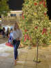 Bild von Anastasiya (ANA683)