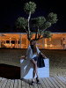 Bild von Tatiana (AVV232)