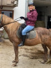 Bild von Elena (ELY821)