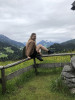 Bild von Elena (EPS100)