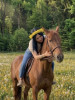 Bild von Hanna (HAN099)