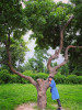 Bild von Liia (LIF202)