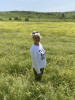 Bild von Lutsia (LUK991)