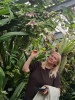 Bild von Ludmila (LUT199)