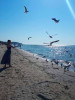 Bild von Oksana (OKL833)