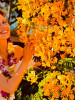 Bild von Olga (ORT033)