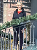 Bild von Tatiana (TUH306)