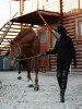 Bild von Yuliya (YUX371)